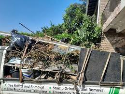 Retail Junk Removal in Val Verde Park, TX